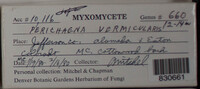 Image Associated With the Occurence